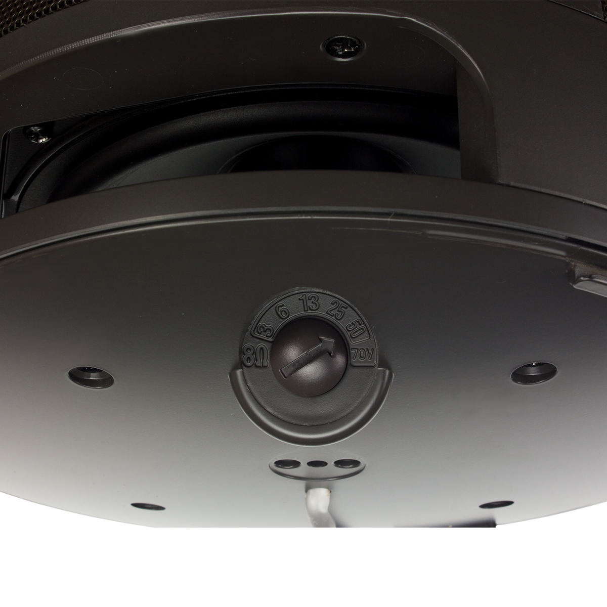 AcoustiScape Landscape Speakers